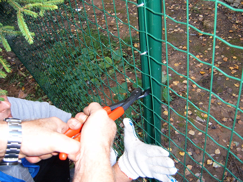 �Bֳ�o�W��B