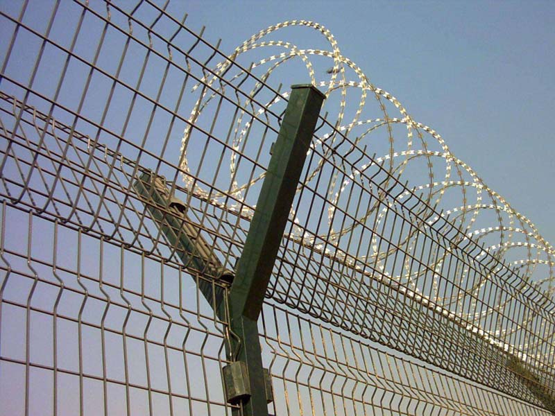 �C���o�ھW�DƬ