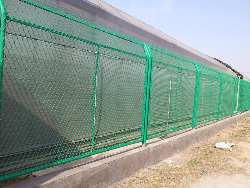 �S�^���WҎ��