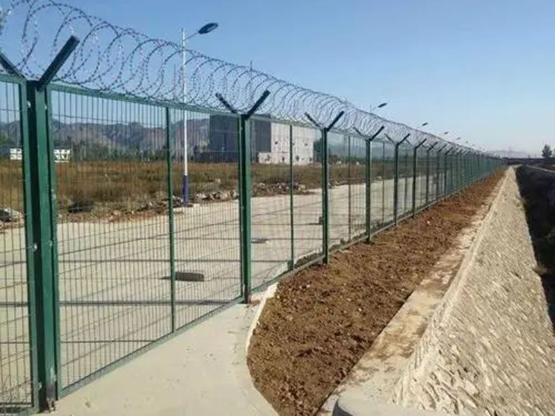 �C���o�ھW