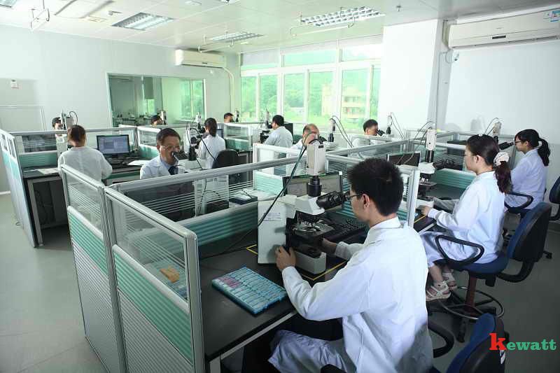 閱片-傳統(tǒng)病理.jpg 病理實驗室-閱片區(qū)