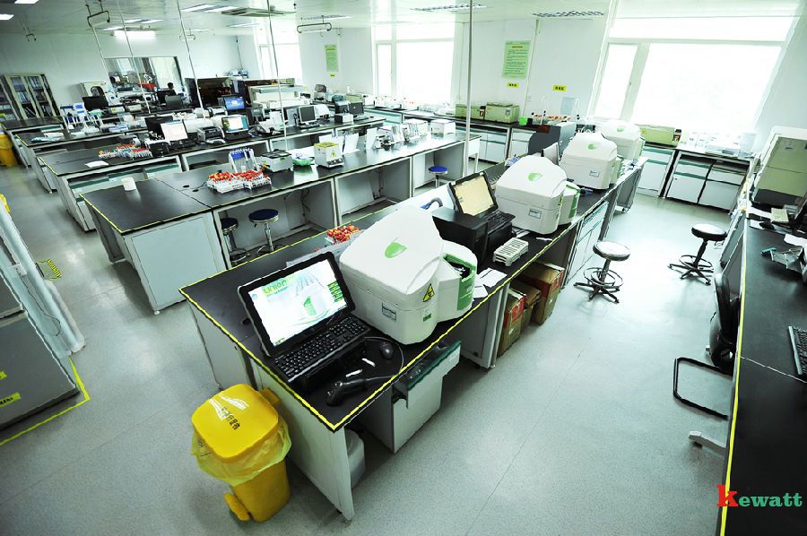 3.jpg 二級(jí)醫(yī)院免疫實(shí)驗(yàn)室大廳